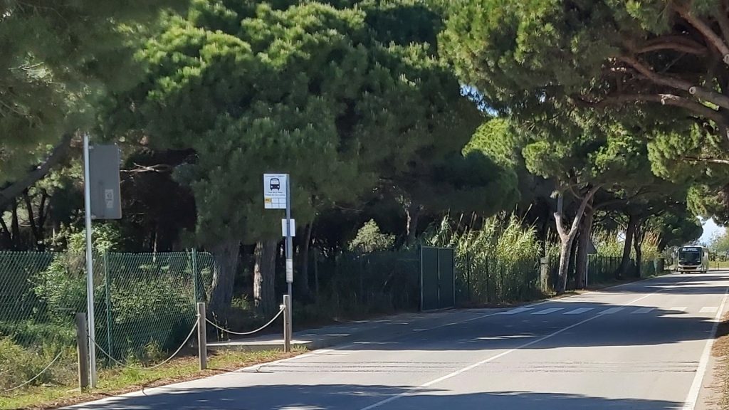 Entrada a la pineda de Can Camins