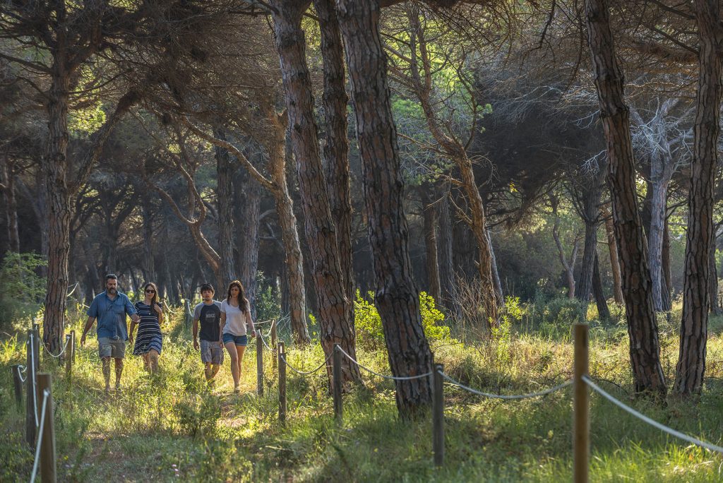 Visita guiada a la Pineda de Can Camins (Turisme Baix Llobregat)
