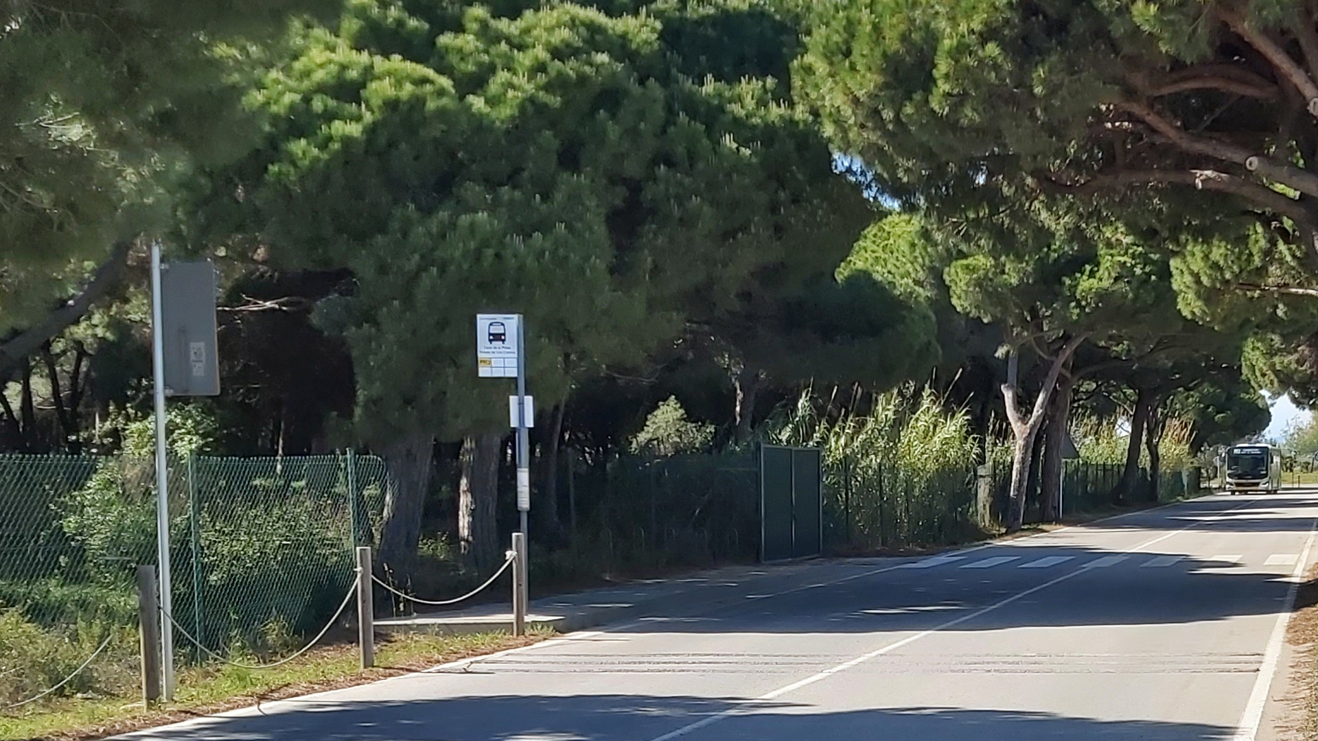 Entrada a la pineda de Can Camins